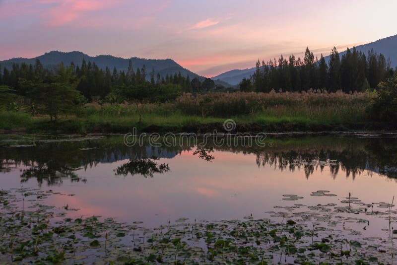 Vista di tramonto dei picchi di montagna con la riflessione nella palude in twili fotografia stock Vista di tramonto dei picchi di montagna con la riflessione nella palude in twili fotografia stock