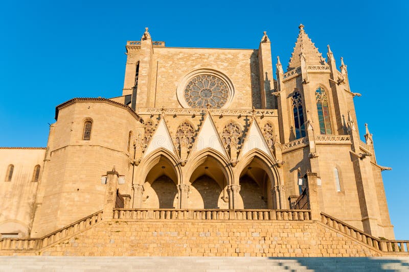 Vista dianteira da basílica escolar de Santa Maria Seu na cidade de Manresa na região do catalunya na Espanha, com árvores e o cé fotografia de stock Vista dianteira da basílica escolar de Santa Maria Seu na cidade de Manresa na região do catalunya na Espanha, com árvores e o cé fotografia de stock