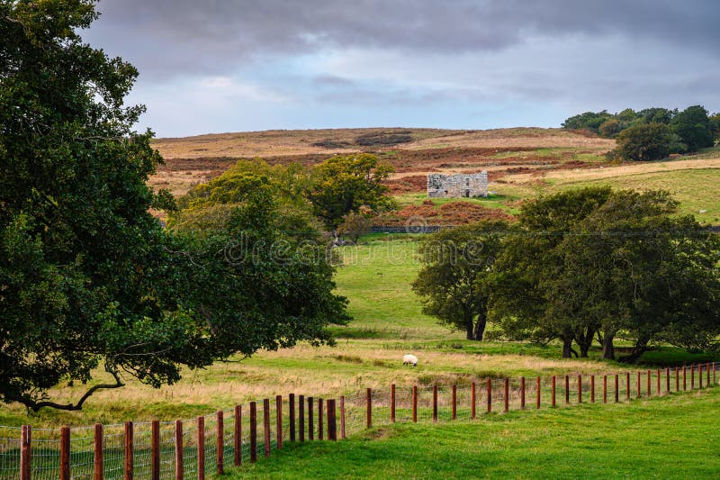 The ruins of an early 17th century bastle or defensible farmhouse in the Anglo-Scottish Borders as protection against Border Reivers. The ruins of an early 17th century bastle or defensible farmhouse in the Anglo-Scottish Borders as protection against Border Reivers