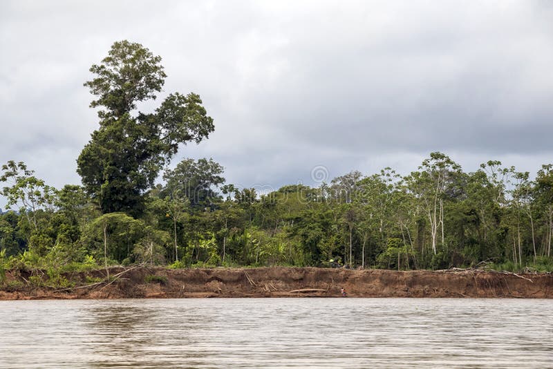Vista do rio de Beni e da floresta úmida do parque nacional de Madidi na bacia superior do Rio Amazonas em Bolívia, Ámérica do Su foto de stock Vista do rio de Beni e da floresta úmida do parque nacional de Madidi na bacia superior do Rio Amazonas em Bolívia, Ámérica do Su foto de stock