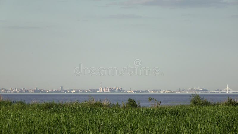 Vista dos modernos distritos de São Petersburgo com arranha-céus e pontes através do Golfo da Finlândia, no Verão ensolarado