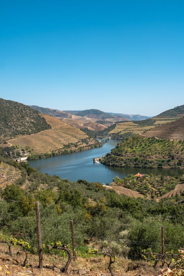 Vista dos vinhedos terraced no vale e no rio de Douro perto da vila de Pinhao, Portugal Conceito para o curso em Portugal fotografia de stock Vista dos vinhedos terraced no vale e no rio de Douro perto da vila de Pinhao, Portugal Conceito para o curso em Portugal fotografia de stock
