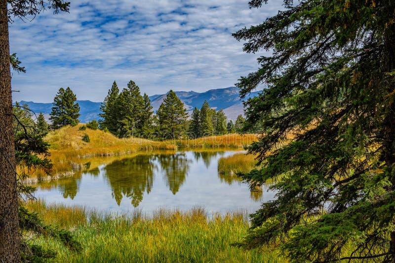 Vista drammatica di caduta di TrailA dello stagno del castoro parco nazionale degli stagni del castoro, Yellowstone fotografie stock libere da diritti Vista drammatica di caduta di TrailA dello stagno del castoro parco nazionale degli stagni del castoro, Yellowstone fotografie stock libere da diritti