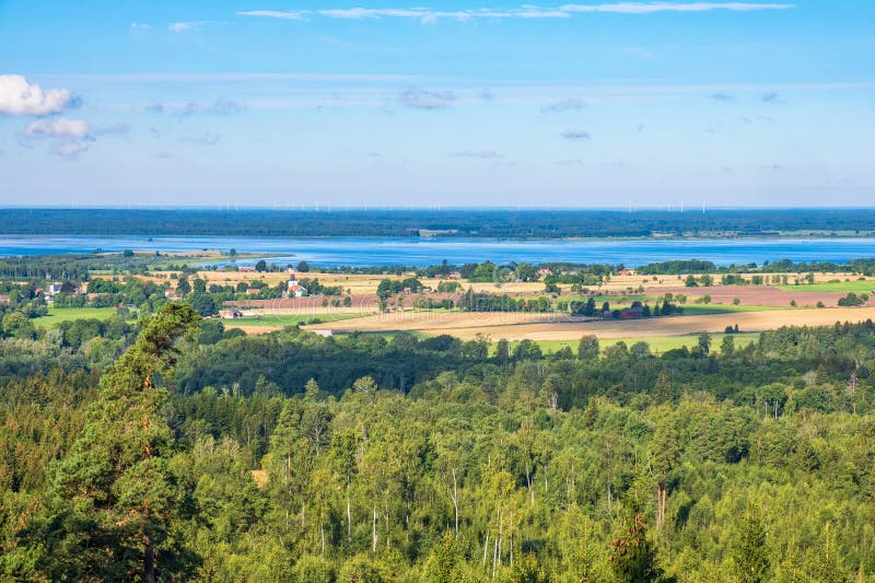 Vista em um campo com um lago no verão