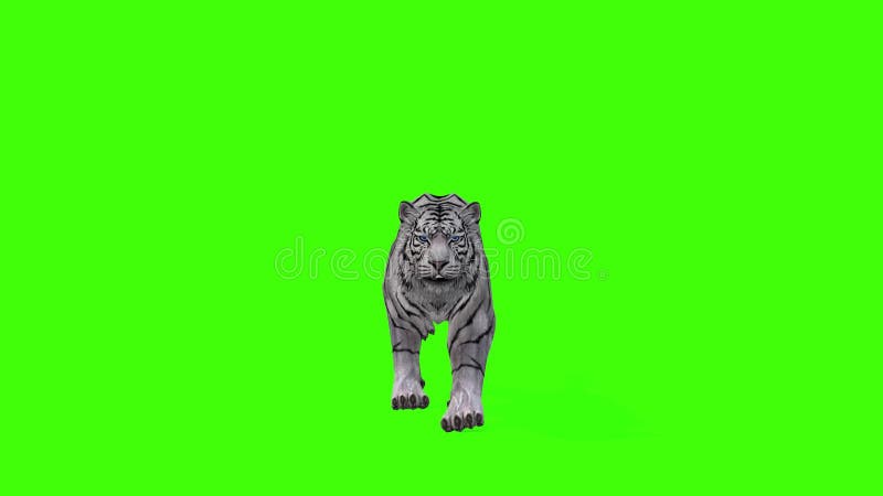 Foto de tigre branco renderizada em 3d