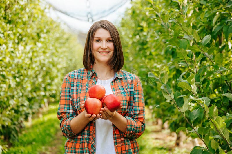 Front view looking at camera young woman farmer smiling happily holding red ripe beautiful apples in her hands. Adult girl agronomist with a short haircut and a plaid shirt. The concept of harvesting and farming. Front view looking at camera young woman farmer smiling happily holding red ripe beautiful apples in her hands. Adult girl agronomist with a short haircut and a plaid shirt. The concept of harvesting and farming.