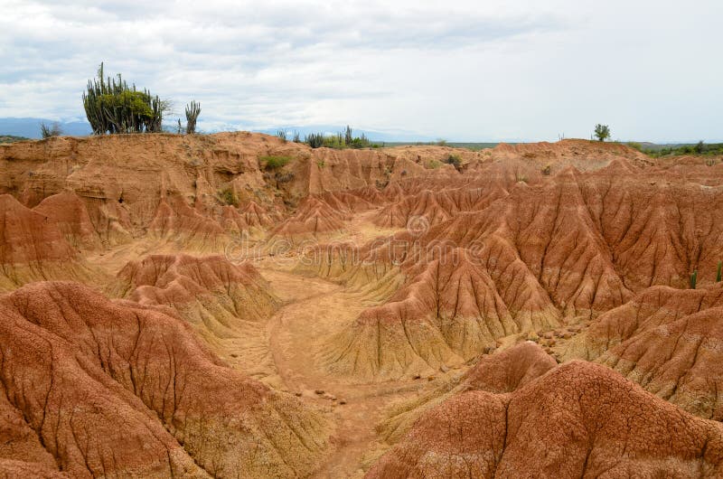 Vista impressionante às areias coloridas da floresta seca tropical de Tatacoa fotos de stock Vista impressionante às areias coloridas da floresta seca tropical de Tatacoa fotos de stock