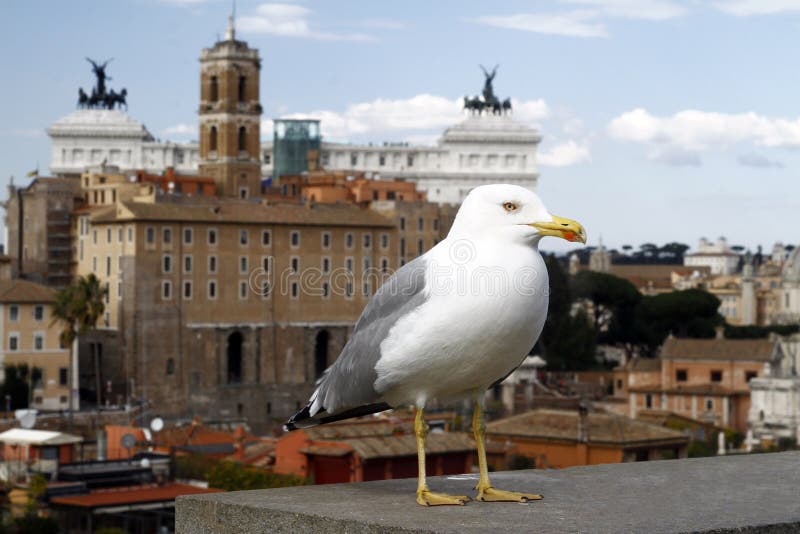 Vista larga da cidade de Roma de Palatino foto de stock