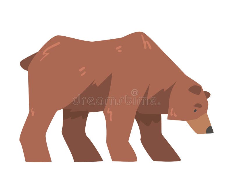 Vista Lateral De Pie Oso Pardo Grande Depredador Salvaje Mamífero Animal Dibujos Animados Vector Ilustración Ilustración del Vector - Ilustración de pata, animal: 220625191 Vista Lateral De Pie Oso Pardo Grande Depredador Salvaje Mamífero Animal Dibujos Animados Vector Ilustración Ilustración del Vector - Ilustración de pata, animal: 220625191