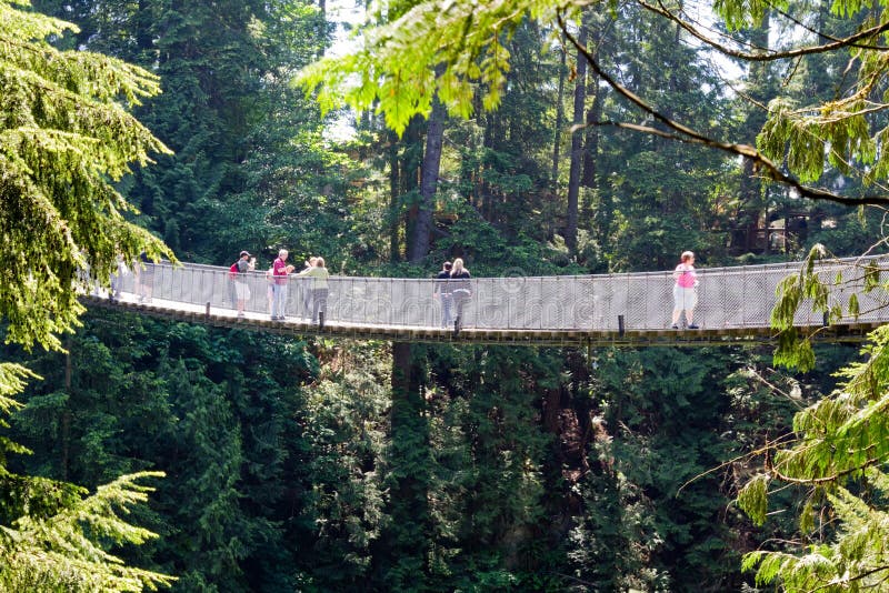 Vista lateral de puente colgante de Capilano en Vancouver, Canadá fotografía de archivo Vista lateral de puente colgante de Capilano en Vancouver, Canadá fotografía de archivo