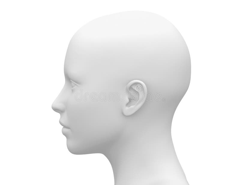 Vista laterale capo- femminile bianca in bianco