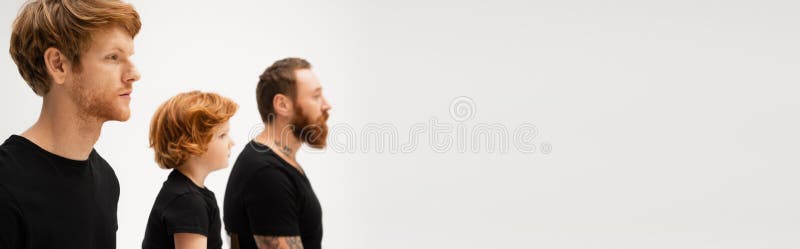 Vista laterale degli uomini barbuti e fotografia stock libera da diritti