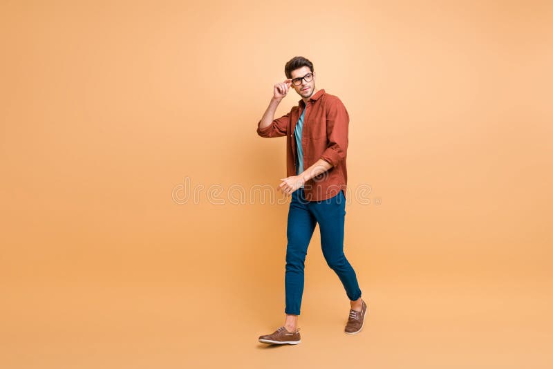 Vista laterale del suo profilo di sagoma completo della sua simpatica brunetta elegante e di moda, il suo assistente squalo immagine stock