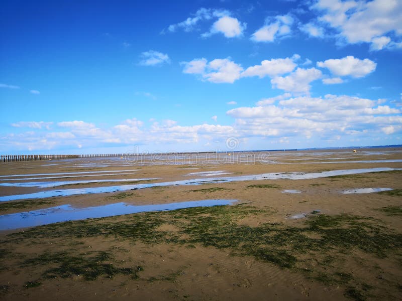 Vista orientale della spiaggia del parco della spiaggia con chiaro cielo blu fotografia stock Vista orientale della spiaggia del parco della spiaggia con chiaro cielo blu fotografia stock