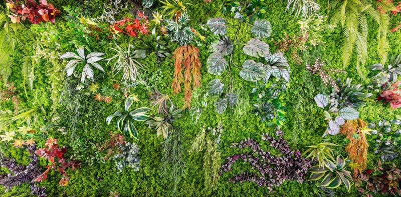 Vista panoramica anteriore del giardino verticale illustrazione vettoriale