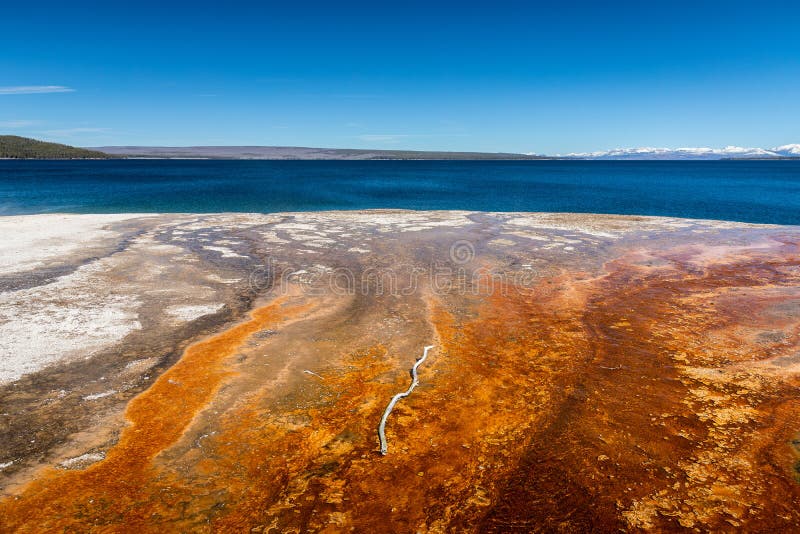 Vista panoramica del lago Thumb ovest del parco nazionale di Yellowstone fotografia stock Vista panoramica del lago Thumb ovest del parco nazionale di Yellowstone fotografia stock
