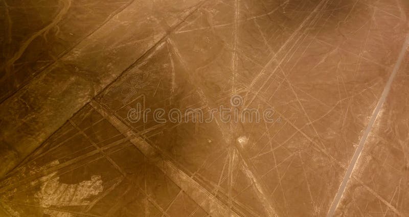 Vista panoramica dell'aeroplano aereo alle linee aka ragno, AIC, Per? del geoglyph di Nazca