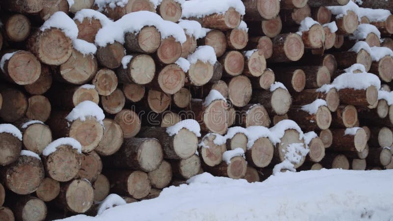 Vista panorámica de la pila de registros cubiertos en nieve el día de invierno