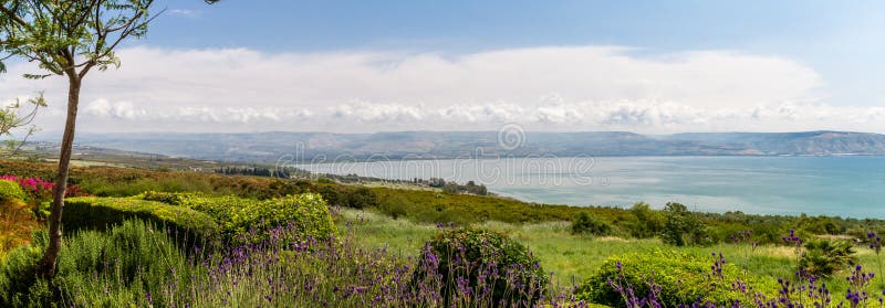 Vista panorámica del mar de Galilea del soporte de beatitudes, Israel