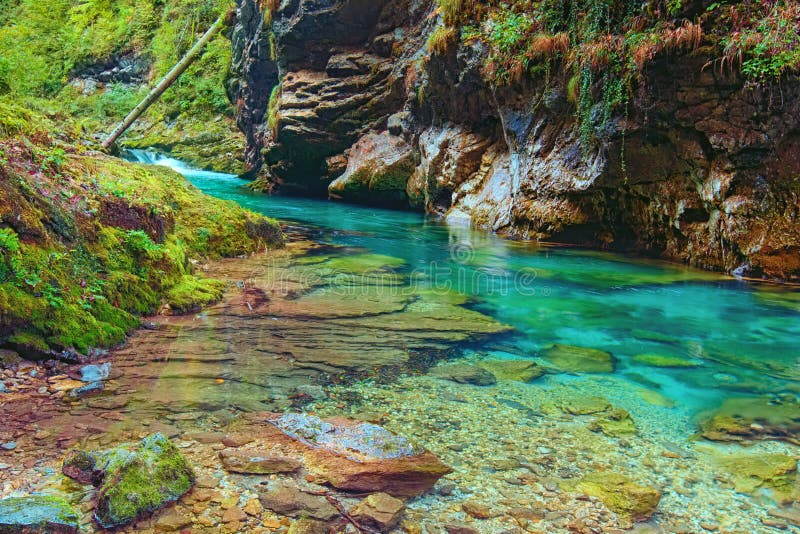 Vista panorâmica angular alargada do rio Radovna com água esmeralda Paredes verticais gloriosas, belas pedras com musgo imagem de stock Vista panorâmica angular alargada do rio Radovna com água esmeralda Paredes verticais gloriosas, belas pedras com musgo imagem de stock