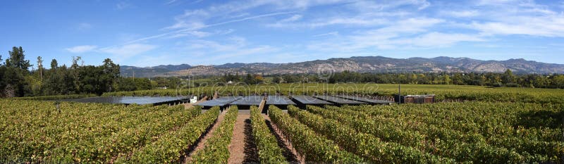 A winery in Napa Valley, California using solar panels to run the electric needs of the operation. A winery in Napa Valley, California using solar panels to run the electric needs of the operation.