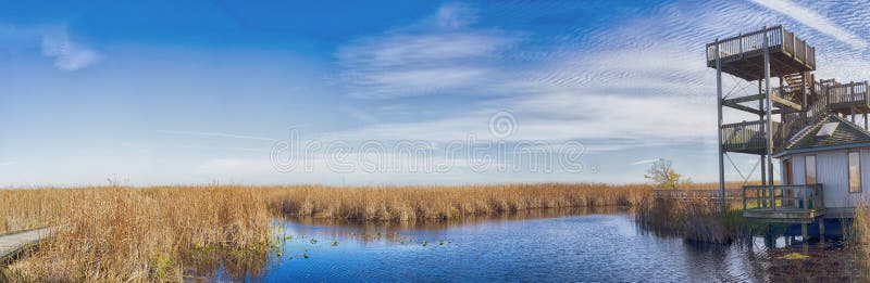 Vista panorâmica do passeio à beira mar do parque nacional de Pelee do ponto no fal fotografia de stock Vista panorâmica do passeio à beira mar do parque nacional de Pelee do ponto no fal fotografia de stock