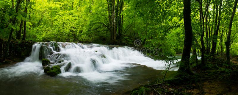 Vista panorâmica do ribeiro selvagem bonito dentro selva-como a floresta imagens de stock Vista panorâmica do ribeiro selvagem bonito dentro selva-como a floresta imagens de stock
