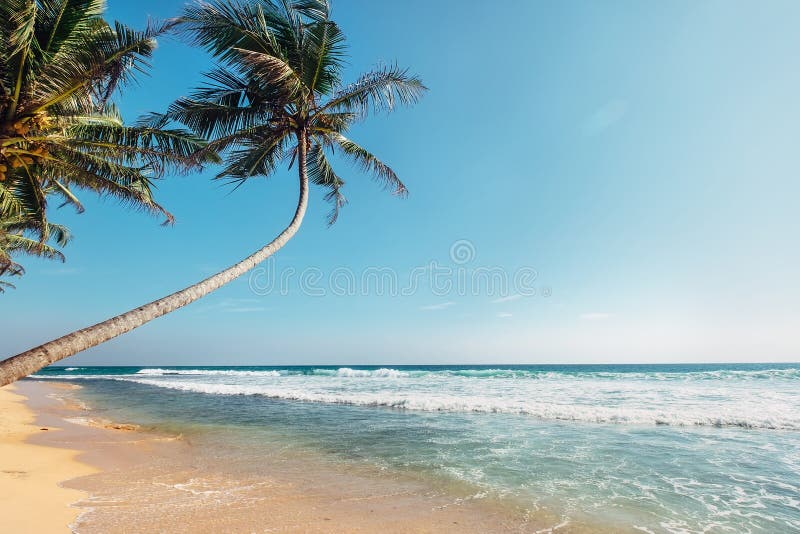 Vista para o mar clássica arenosa branca de opinião da praia tropical da ilha foto de stock Vista para o mar clássica arenosa branca de opinião da praia tropical da ilha foto de stock