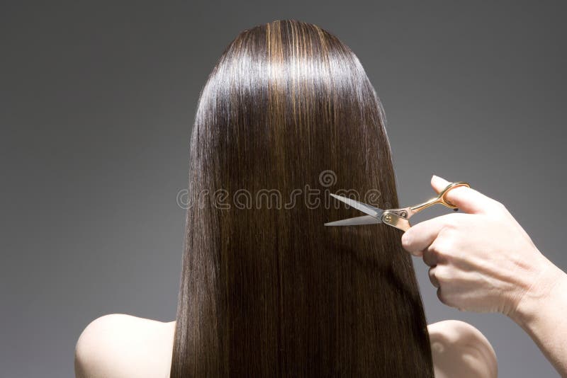 Vista posterior de la mujer que tiene corte de pelo imagenes de archivo Vista posterior de la mujer que tiene corte de pelo imagenes de archivo