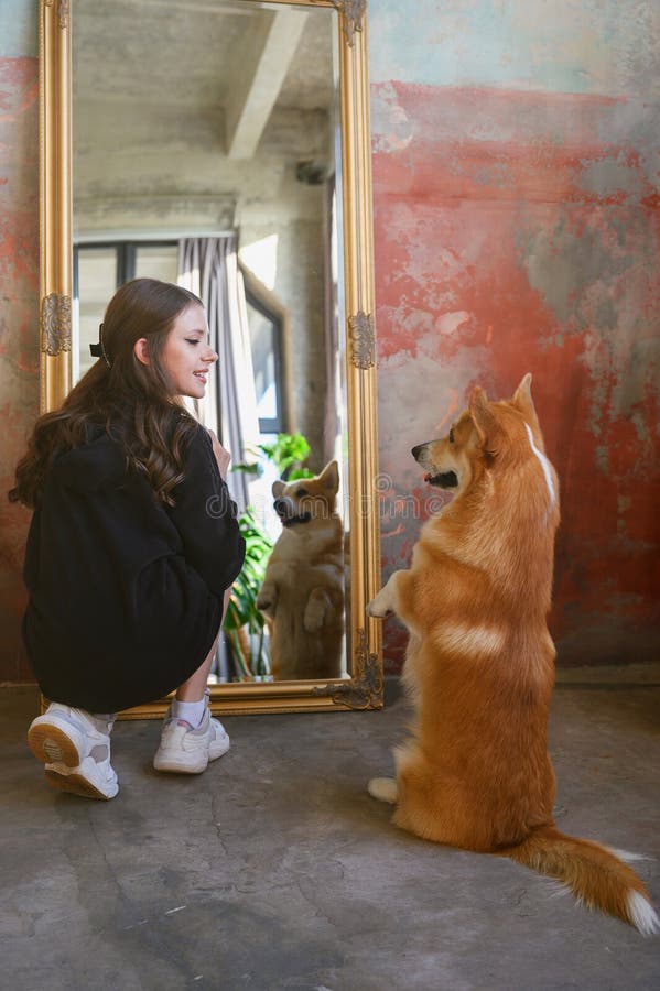 Vista posteriore di un'adolescente seduta allo specchio e di un cane da corgi fotografia stock libera da diritti