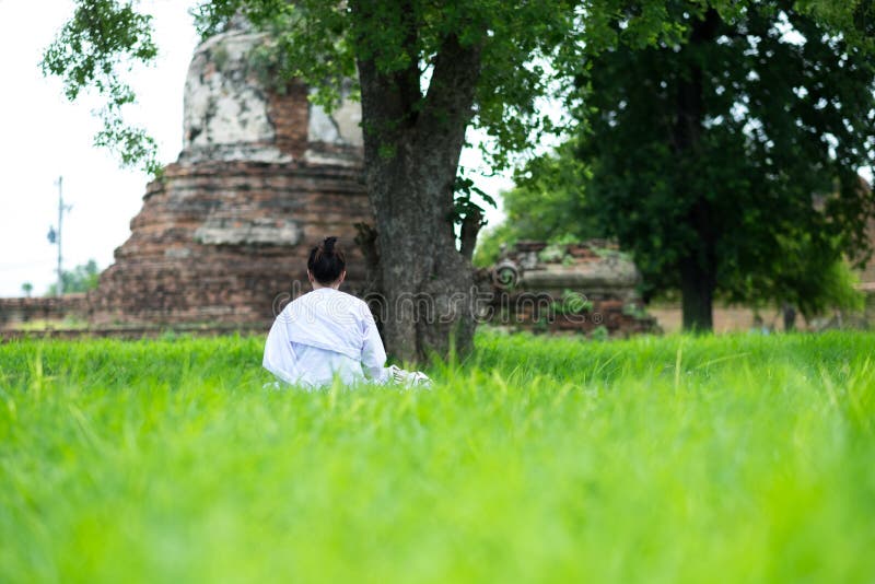 Vista posteriore la giovane donna è meditazione sul campo di erba verde sotto immagine stock Vista posteriore la giovane donna è meditazione sul campo di erba verde sotto immagine stock