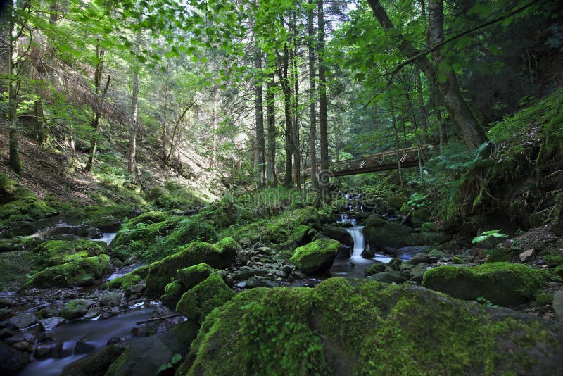 Vista scenica con il ponte di legno sopra il fiume selvaggio nel Ravennaschlucht immagini stock libere da diritti Vista scenica con il ponte di legno sopra il fiume selvaggio nel Ravennaschlucht immagini stock libere da diritti