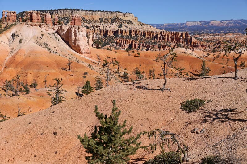 Vista sobre Bryce Canyon fotografia de stock royalty free Vista sobre Bryce Canyon fotografia de stock royalty free