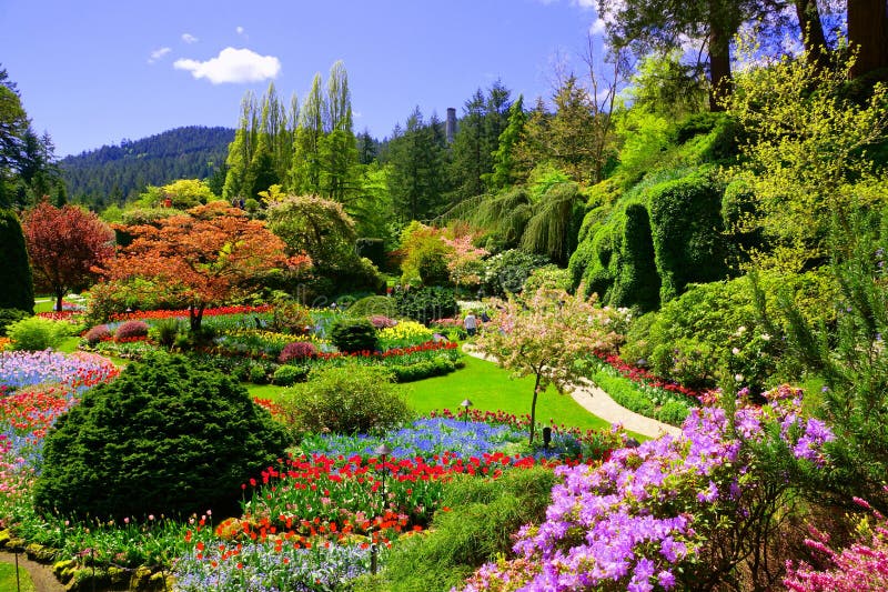 Vista sobre flores coloridas de um jardim na primavera, Victoria, Canadá