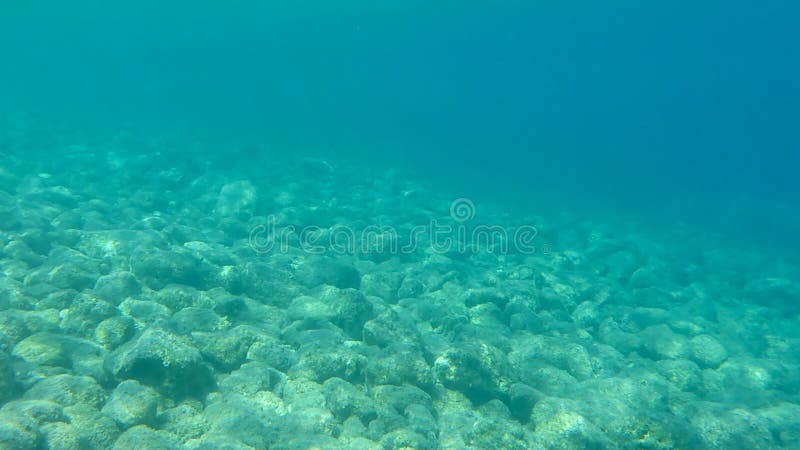 Vista SUBACQUEA dell'acqua della radura del turchese e dei ciottoli bianchi sparsi fuori dal fondale marino della baia di Antisam fotografia stock Vista SUBACQUEA dell'acqua della radura del turchese e dei ciottoli bianchi sparsi fuori dal fondale marino della baia di Antisam fotografia stock