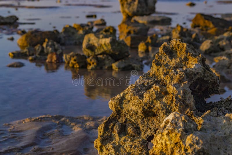 Vista sul mare naturale Barriere coralline in Sharm-el-Sheikh, Egitto immagine stock Vista sul mare naturale Barriere coralline in Sharm-el-Sheikh, Egitto immagine stock