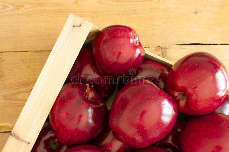 Vista superior de un cajón con las manzanas rojas fotografía de archivo Vista superior de un cajón con las manzanas rojas fotografía de archivo