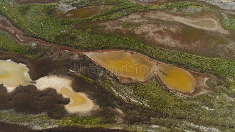 Vista superior del agua sucia modelada del pantano tiro El agua marr?n ?cida con los matorrales verdes parece el arte fl?ido del foto de archivo Vista superior del agua sucia modelada del pantano tiro El agua marr?n ?cida con los matorrales verdes parece el arte fl?ido del foto de archivo