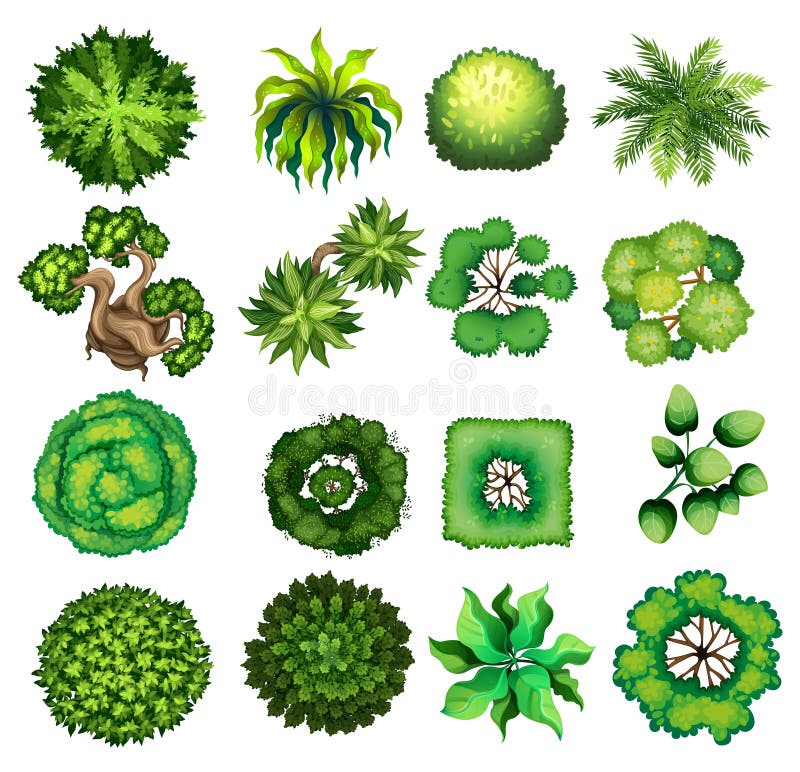 Vista superior del diferente tipo de plantas stock de ilustración Vista superior del diferente tipo de plantas stock de ilustración