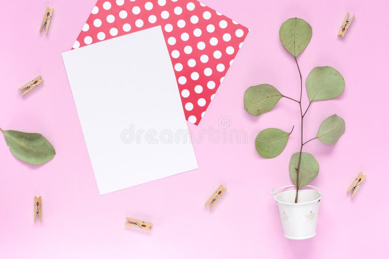 Vista superior em um ramo com folhas em uma cubeta branca com um cartão branco em um fundo cor-de-rosa liso com uma área para o t fotos de stock royalty free Vista superior em um ramo com folhas em uma cubeta branca com um cartão branco em um fundo cor-de-rosa liso com uma área para o t fotos de stock royalty free