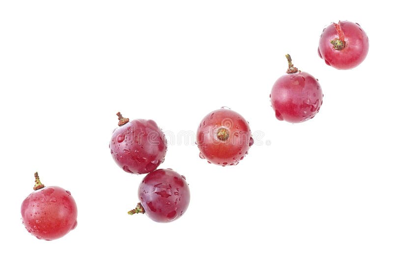 Vista superiore dell’uva rossa isolata su fondo bianco. collezione di uve di colore rosso fotografia stock libera da diritti