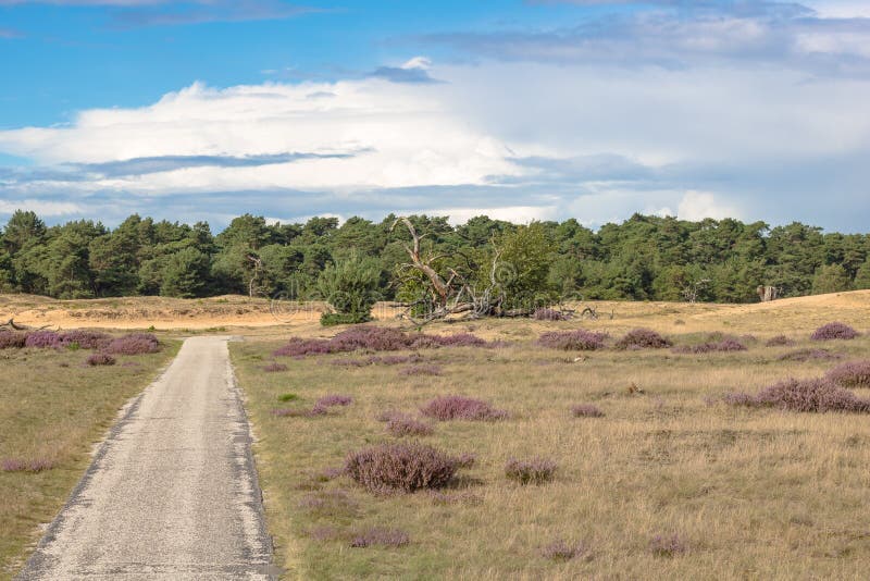 Vista a una duna de arena a lo largo de una manera de la bicicleta en una tierra hermosa fotos de archivo libres de regalías Vista a una duna de arena a lo largo de una manera de la bicicleta en una tierra hermosa fotos de archivo libres de regalías