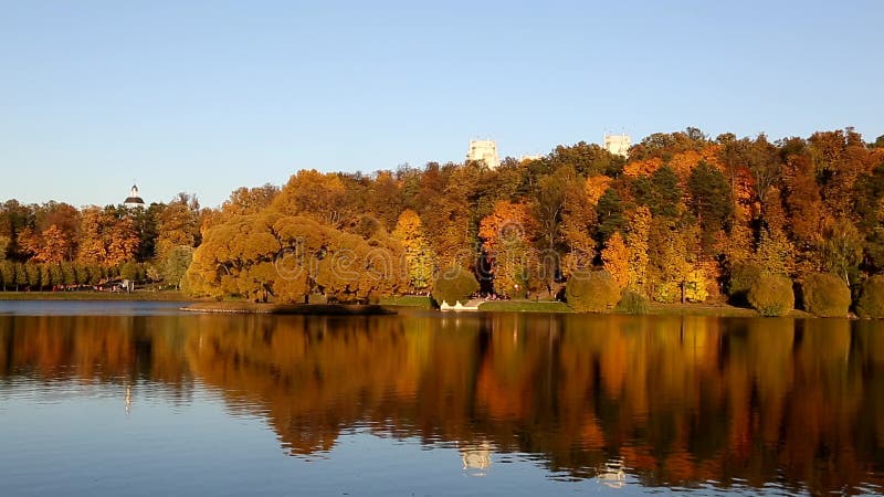 Vistas al estanque de otoño y a los árboles con coloridos follajes de otoño en su orilla metrajes