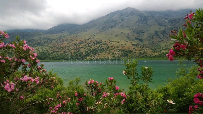 Vistas bonitas do lago Kournas, Creta através da folha luxúria de arbustos de florescência no tempo nebuloso brilhante da mola fotografia de stock Vistas bonitas do lago Kournas, Creta através da folha luxúria de arbustos de florescência no tempo nebuloso brilhante da mola fotografia de stock