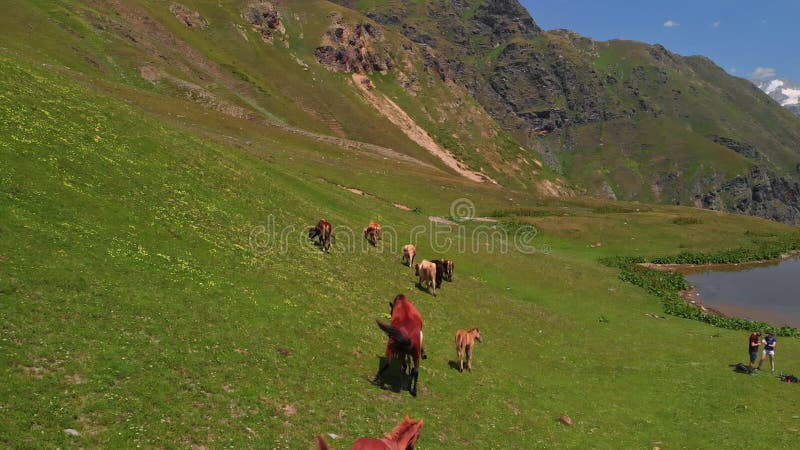 Vistas georgia drone almacen de video