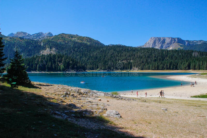 Viste di Paradise del parco nazionale Durmitor nel Montenegro Acqua del turchese del lago, dell'abetaia e delle montagne Backg di fotografia stock libera da diritti Viste di Paradise del parco nazionale Durmitor nel Montenegro Acqua del turchese del lago, dell'abetaia e delle montagne Backg di fotografia stock libera da diritti