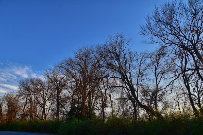 Viste di tramonto di crepuscolo attraverso i rami di albero di inverno da Opryland lungo Shelby Bottoms Greenway e l'area natural fotografia stock libera da diritti Viste di tramonto di crepuscolo attraverso i rami di albero di inverno da Opryland lungo Shelby Bottoms Greenway e l'area natural fotografia stock libera da diritti