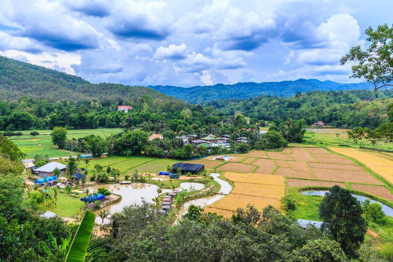 Viste e villaggio della risaia in Chiang Mai Asia Tailandia fotografia stock Viste e villaggio della risaia in Chiang Mai Asia Tailandia fotografia stock