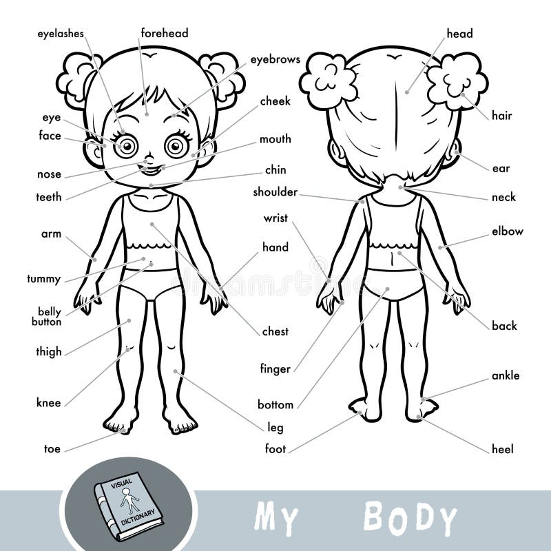 Body Parts Aroung The Chest / Name Of Body Parts Learn Sanskrit Open Pathshala