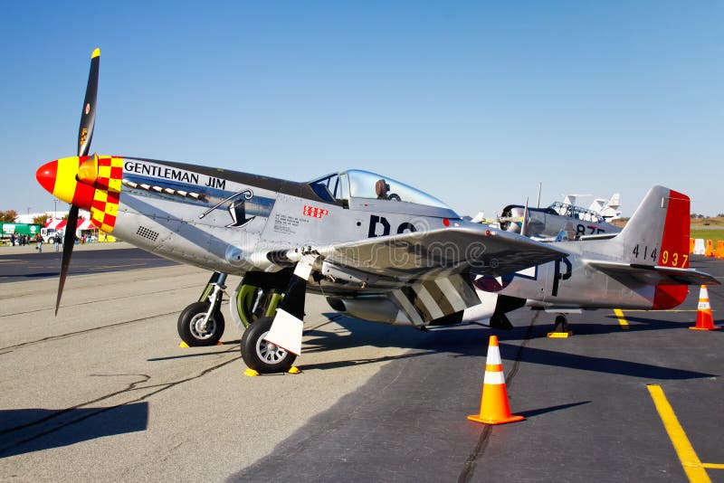 Visualización del avión de combate del mustango de P-51D foto de archivo libre de regalías
